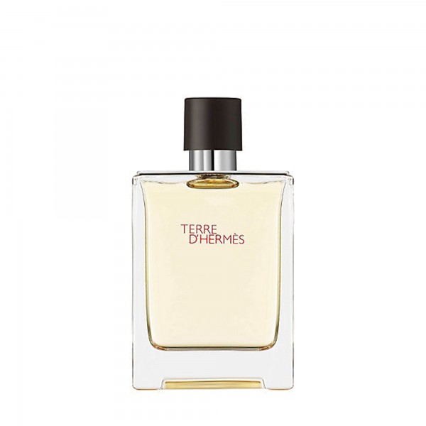 Hermes Terre D'Hermes Eau de Toilette 100 ml